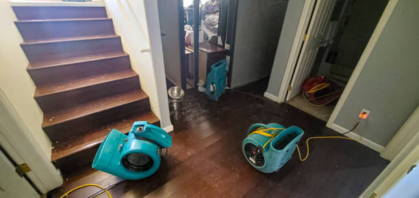 Best Water damage restoration near me  in Meridian Village, CO
