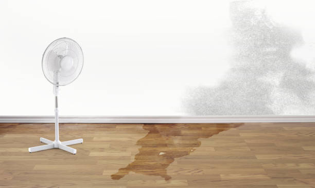 Best Emergency water damage restoration  in Meridian Village, CO